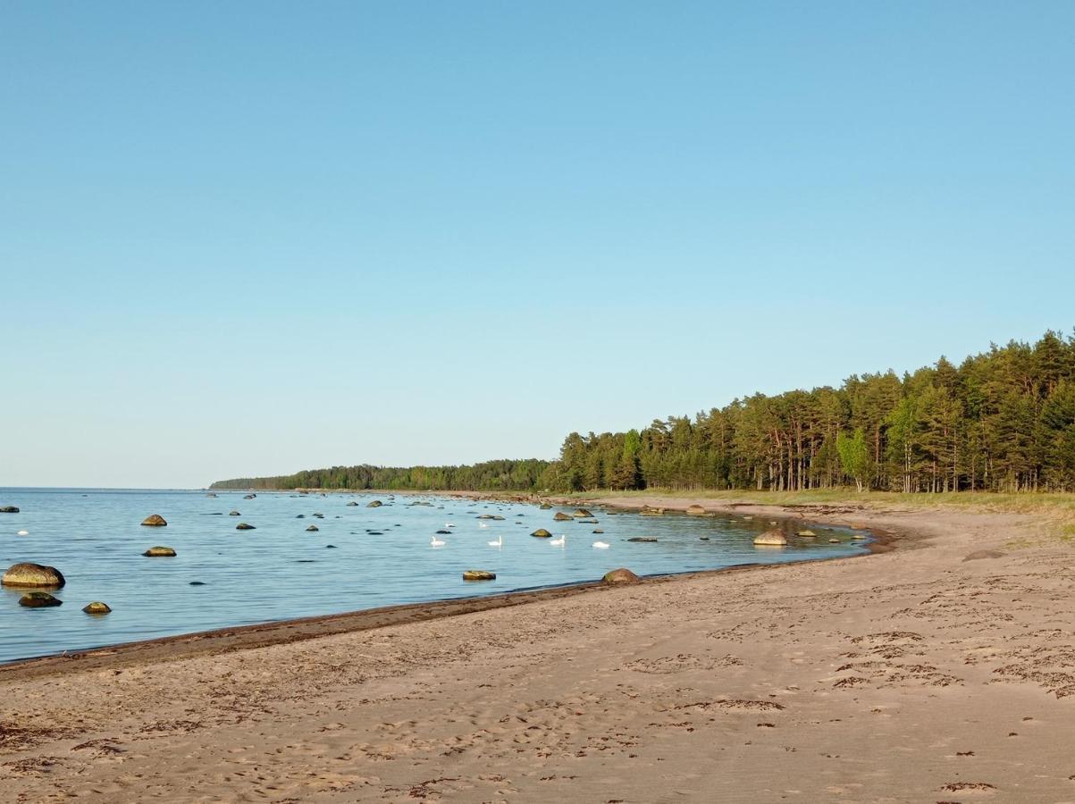 Toomarahva Farmstay Altja Exteriör bild